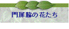 ẻԂ