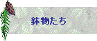 鉢物たち