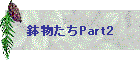 鉢物たちPart2