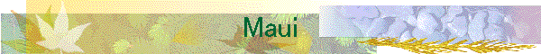 Maui