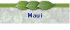 Maui