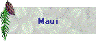 Maui