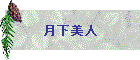 月下美人