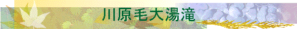 쌴ё哒