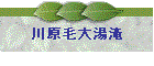 쌴ё哒