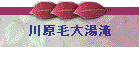 쌴ё哒