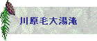 쌴ё哒