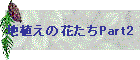地植えの花たちPart2