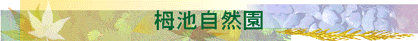 ̒rR