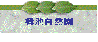 ̒rR