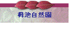̒rR