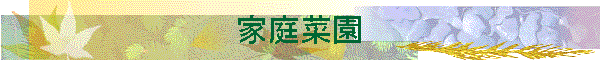 ƒ؉