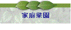 ƒ؉