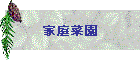 家庭菜園