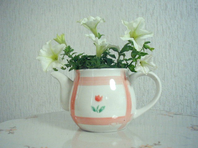 flower25