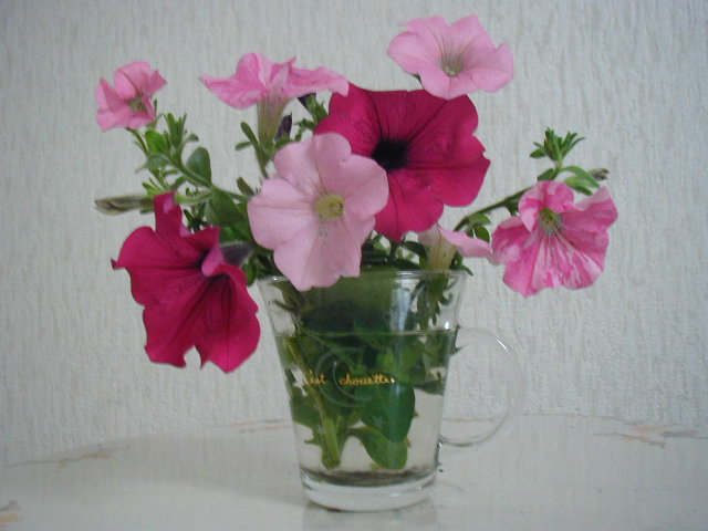 flower23