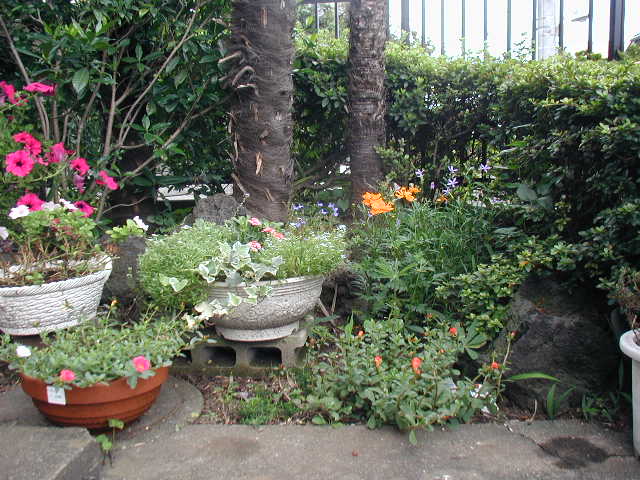 flower32