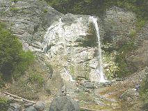 쌴
