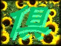 Syz