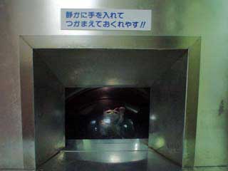 DSC01847.JPG - 6,031BYTES