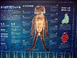 DSC01866.JPG - 17,962BYTES