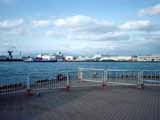DSC01924.JPG - 273,421BYTES