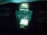 DSC01931.JPG - 273,421BYTES