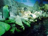 DSC01932.JPG - 273,421BYTES