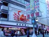 DSC01948.JPG - 243,823BYTES