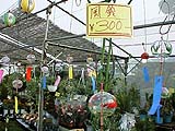 植木市と風鈴市も