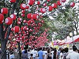 山口ちょうちん軍団