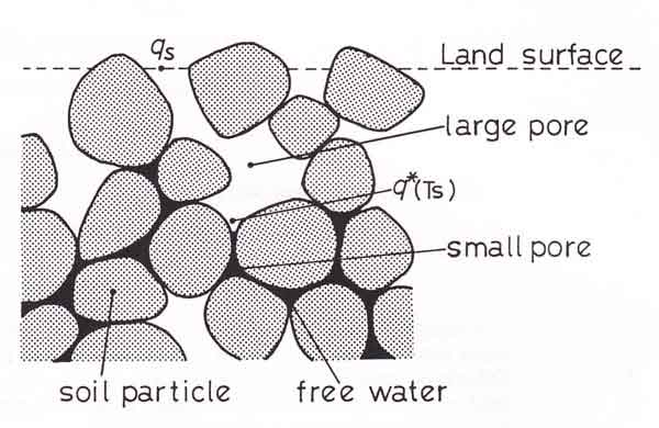 土壌模式図