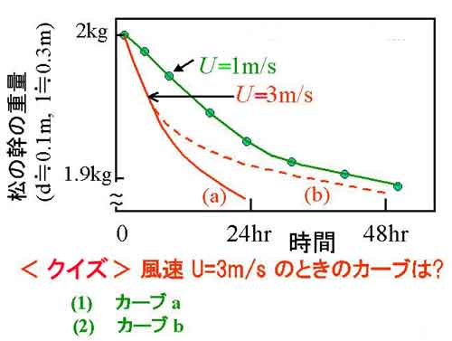 松の乾燥クイズ