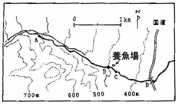 秋山沢川の地図