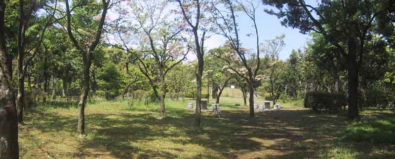 北の丸露場南東40m