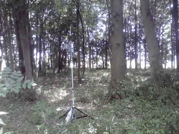 農環研観測塔の西150m