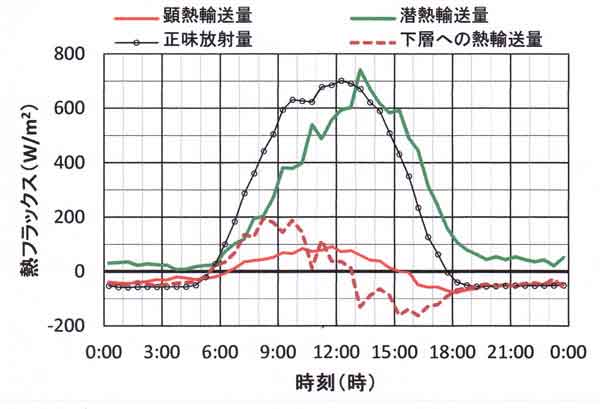 日変化8月