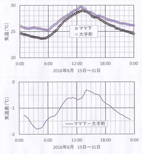 日変化8月