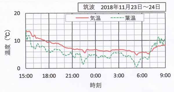 11月23日