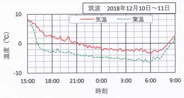 12月10日