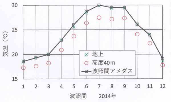 波照間季節変化