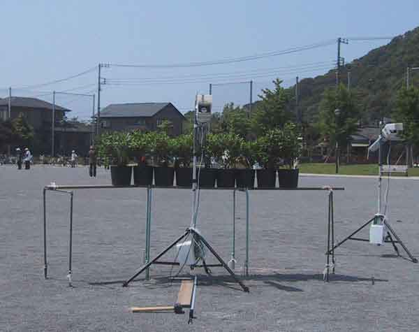 桜ケ丘公園苗木