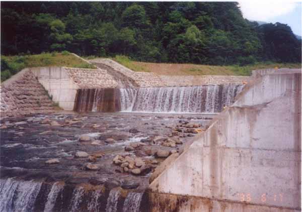 秋山沢川95610