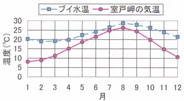 ブイ水温と室戸岬気温の比較