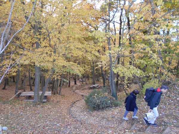 斜面の公園