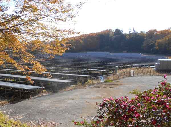 斜面の公園