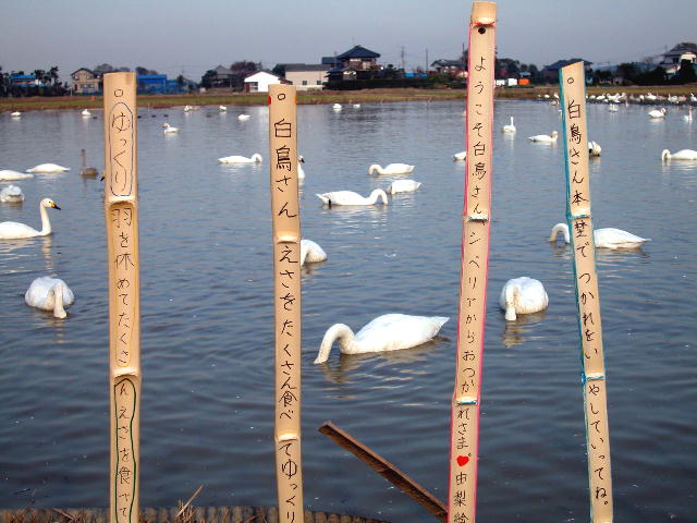 03.11.{WEb
