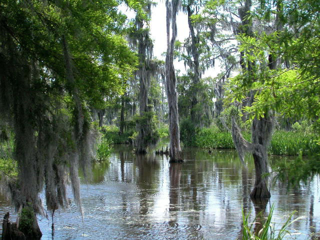 Mississippi @NewOrleans