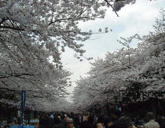 @ԂƐlƁ``