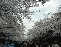 Ueno tokyo